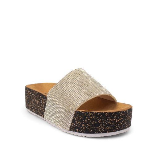 Women Silver Glitter Slipper #2830