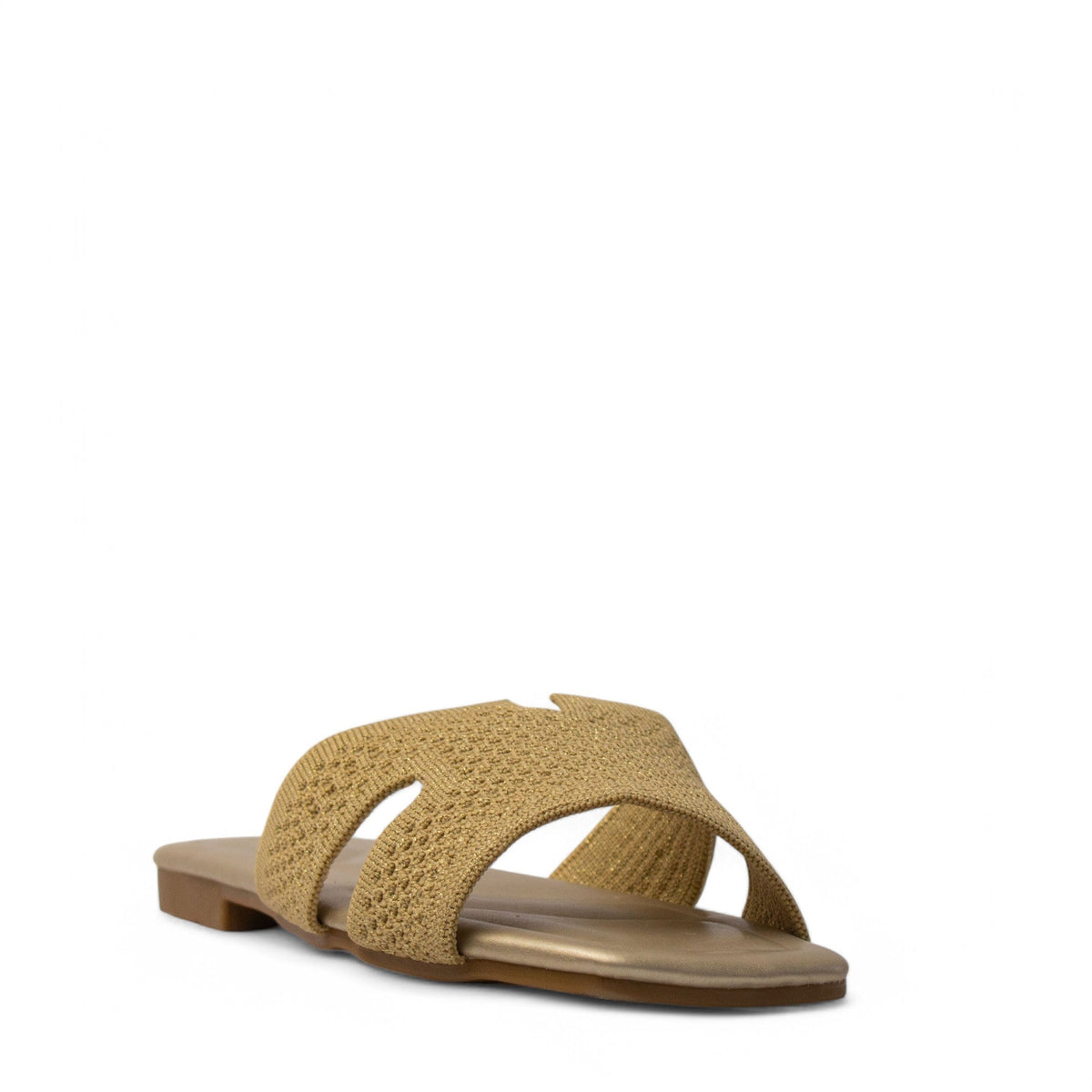 Europeon Union Women Gold Cloth Slipper #3999